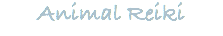 Animal Reiki